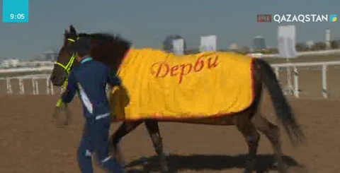 Астанада жыл қорытындысына арналған ат жарысы өтті