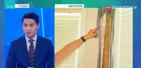 Австралияда бал шығатын үй табылды