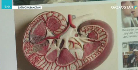 Ағза мүшелерін саудалаған сайт жабылды