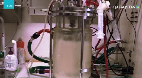 Швецияда құс қауырсынынан тағам жасалмақ