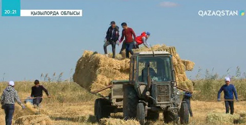 Сыр елінде «Жақаев  ізбасарлары» бар