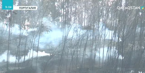 Португалияда жексенбіде басталған өрт құрбандарының саны 41-ге жетті
