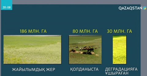 Шаруалар жайылымдық жердің тарылып бара жатқанына алаңдаулы