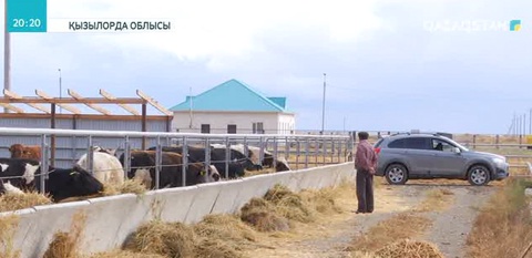 Қызылордада мал бордақылау кешені жұмыс істемей тұр