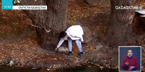 Шымкент қаласында егеуқұйрықтарға қарсы күрес шарасы басталды