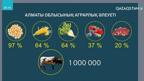 Алматы облысында ет экспорттау жоспары орындалмай тұр