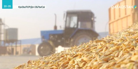 Сыр диқандары Иранға күріш экспорттайды