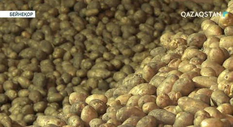 Еліміздің аграрлық кешенін дамытуға бағытталған жаңа стратегия жасалмақ