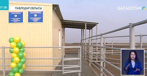 Павлодар облысында ветеринарлық қауіпсіздік шаралары күшейтілді