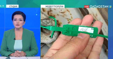Алматы облысында жеке тұлға Қырғызстанға заңсыз тауар алып өтпек болған