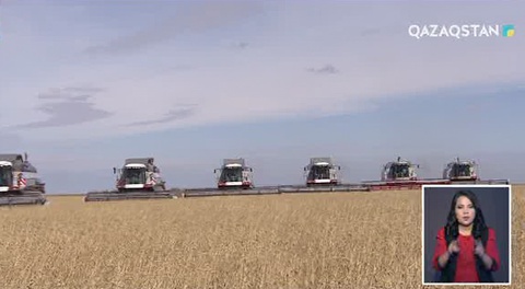 Аграрлық саладағы мәселелерді шешу үшін 12 карта әзірленді