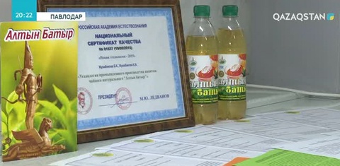 Павлодарлық ғалымдар шай саңырауқұлағынан жасалған сусын ойлап тапты