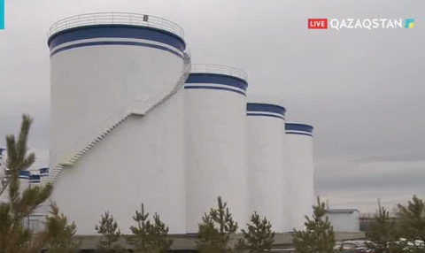 «Тайынша-май» зауыты жылына 300 мың тонна май шығарады