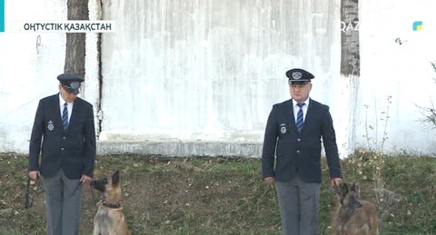 Шекарадан өткізбек болған есірткі заттарының 65 пайызы иісшіл иттердің көмегімен анықталған