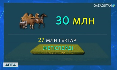 Қазір елімізде 108 миллион гектар жайылым жер бос жатыр