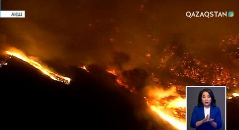 АҚШ-та алапат орман өрті жүздеген үйге қауіп төндірді
