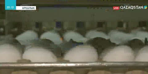 Арқалық қаласында келесі жылы екі ірі инвестициялық жоба жүзеге асырылады