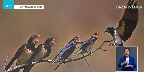 Қазақстан сурет арқылы АҚШ-қа таныстырылады