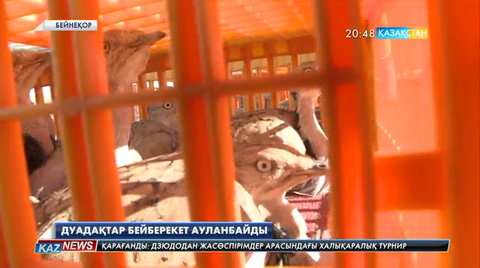 Дуадақтар бей-берекет ауланбайды