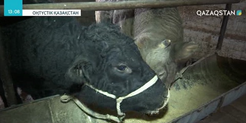 ОҚО-да аграрлы өндірістік аймақ құрылды