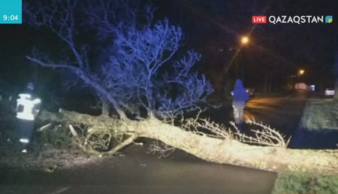 Еуропалықтарды «Элеонора» дауылы әбігерге салды