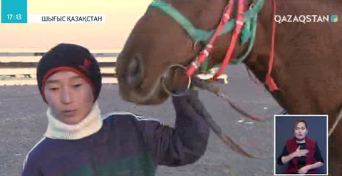 Шығыс Қазақстан облысында кәсіпкерлер ұлттық ат спортын дамытуда