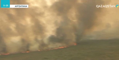 Аргентинада бір аптадан бері орман өрті қаулап жатыр