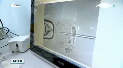 Елде ұрығын сататын донор әкелер көбейіп барады