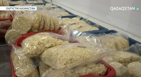 ОҚО-да индустриалды-инновациялық даму бағдарламасы аясында ашылған зауыт тоқтап тұр