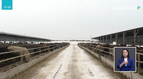 Балқаш ауданында агроөнеркәсіп саласы өркендеп келеді