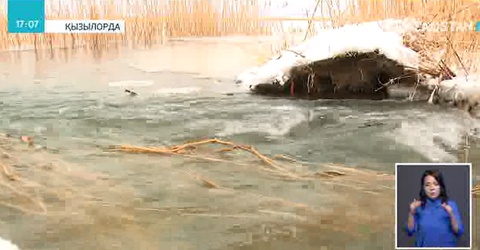 Қызылордада егістік жерлерді су алды