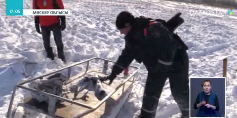 Мәскеудегі апаттың себебі туралы алғашқы болжам