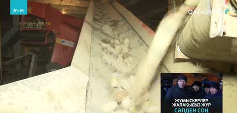 Алматы облысының Нарынқол өңірі картоп өндірісін қолға алуға өте қолайлы аймақ