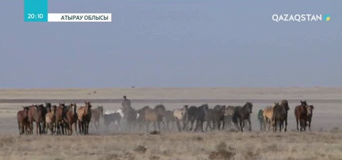 Атырау облысында биыл 1325 азамат кәсіп ашуға ниетті