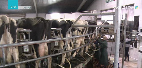 Биыл цифрлық 6 ферма жұмысын бастайды