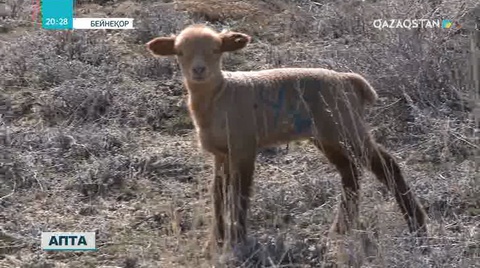 Ауыл шаруашылығы министрлігі кооперация мәселесін қайта зерделеуге кірісті
