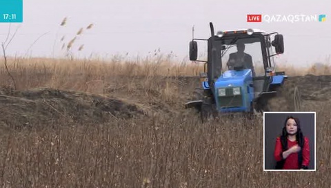 ОҚО-да ағын су жүретін арық пен каналдардың 158 шақырым жері тазаланды