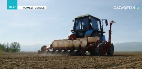 Жамбыл облысында көктемгі дала жұмыстары басталды