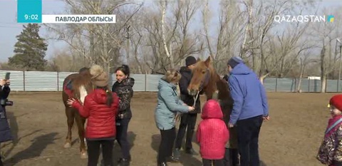 Иппотерапия- сал ауруынан сауықтырады