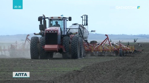 Оңтүстік өңірде егіс науқаны басталды