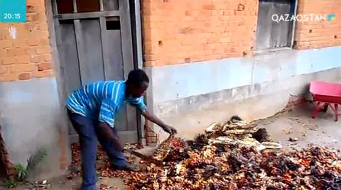 Пальма майы қосылған сүт өнімдері ағзаға өте зиян