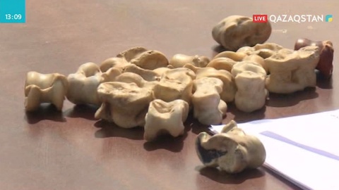 Батыс Қазақстан облысында ұлттық ойын түрлерінен сайыс өтті