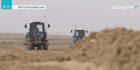 ОҚО-да мақта егу науқаны аяқталуға жақын