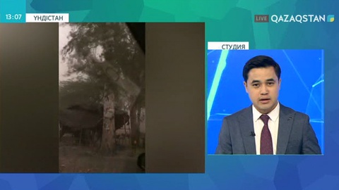 Үндістанда құмды дауылдан 125 адам қаза тапты