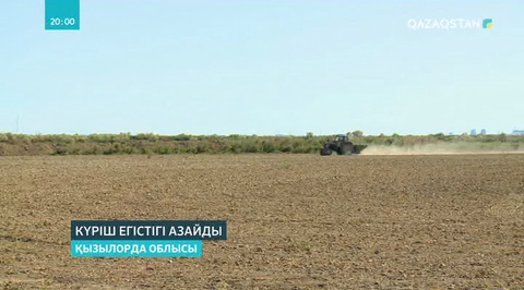 Сыр диқандары мол өнім алу үшін тұқымның жаңа сорттарын сынақтан өткізуде