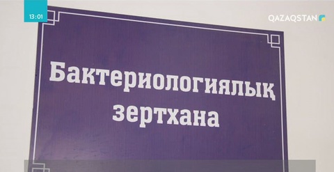 Қызылорда облысында мектеп оқушыларының стафилококк таяқшасынан ұшынғаны белгілі болды