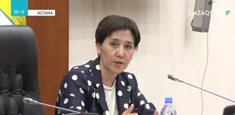 «Нұр Отан» партиясын жаңғыртуға Мәжіліс депутаттары үлес қоспақ