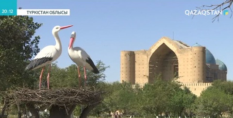 Түркістан шаһары несімен ерекше?