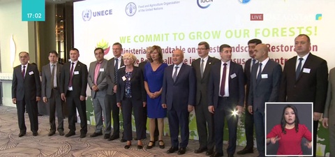 Қазақстанда 500  мың гектар орман алқабы қалпына келтірілді