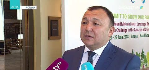 Орман алқаптары қалпына келтіріліп жатыр